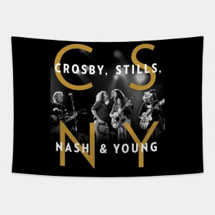 Crosby Stills Nash Young Tapestry