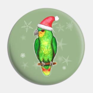 Christmas amazon parrot Pin