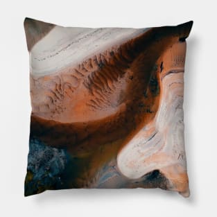 watercolour art work Pillow