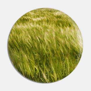 Light and dark patterns of barley - Yorkshire, UK Pin