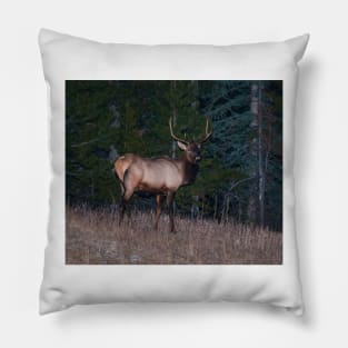 Canadian Elk Pillow