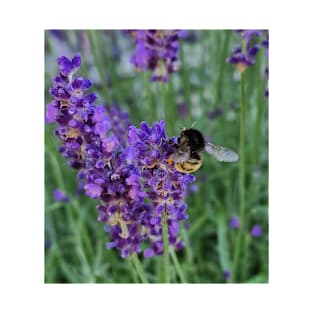 bumblebee on lavender T-Shirt