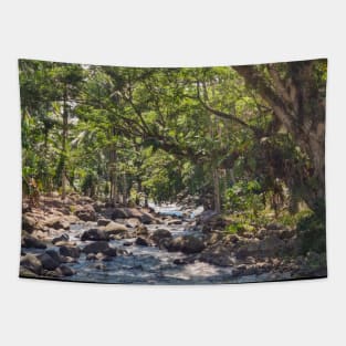 Mountain Stream, Jasaan, Misamis Oriental, Mindanao, Philippines Tapestry