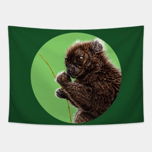 Gentle lemur Tapestry