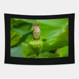 Australian Reed Warbler in full song Tapestry