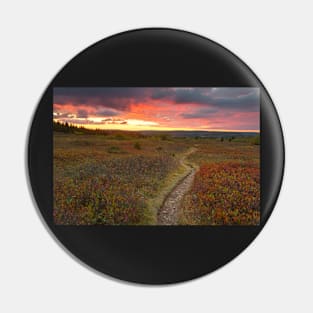 Dolly Sods Twilight Trail Pin