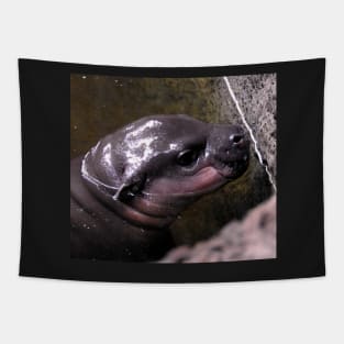 Baby Hippo Tapestry