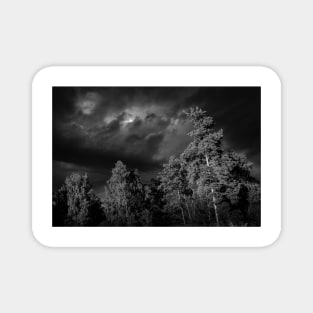 Dramatic clouds in the sky over the dark Swedish forest Magnet