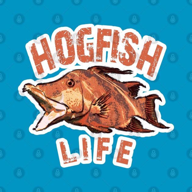 Hogfish Life by Worldengine