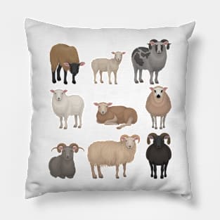 Sheep collection Pillow