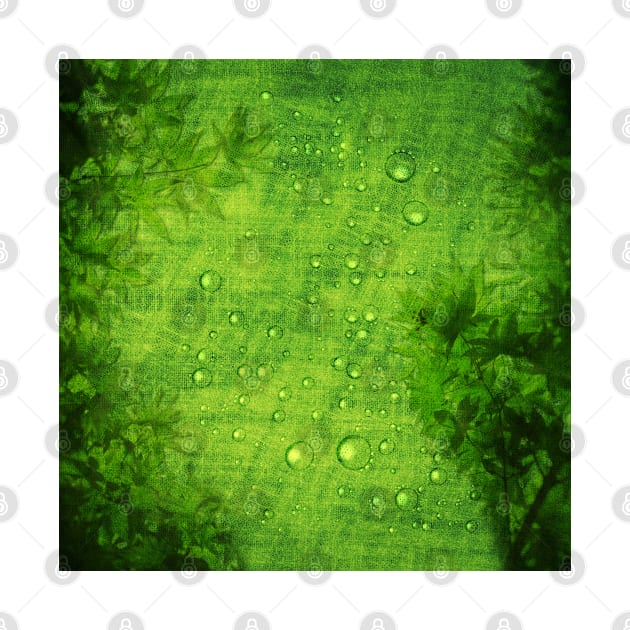 Green plants texture by Florin Tenica