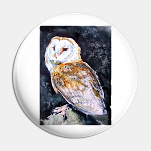 Barn owl at night Pin