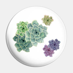 Succulents Pin