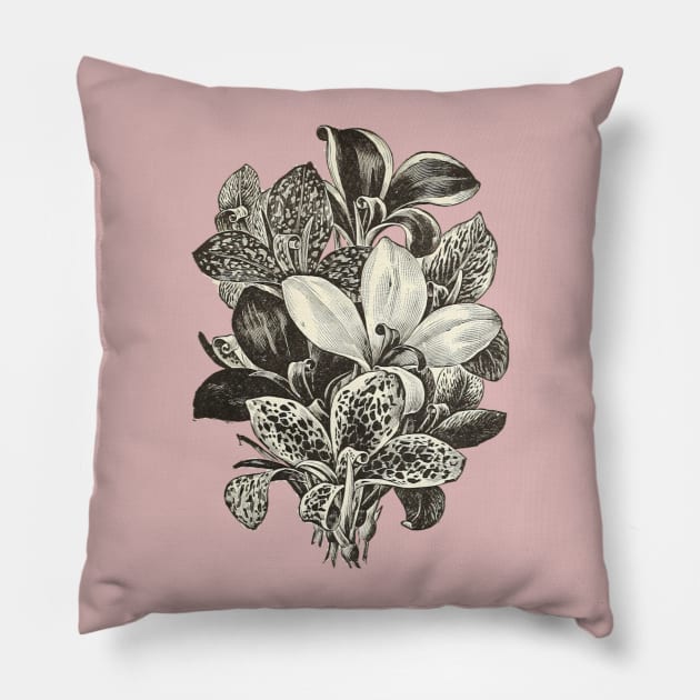 Beautiful Lily Pillow by DrDesign