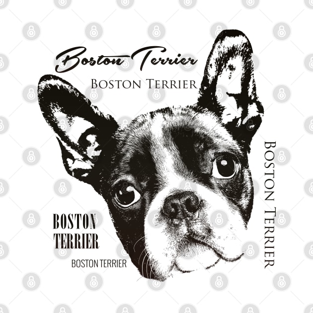 Boston Terrier dog by Nartissima