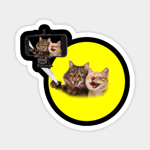 Yelling At A Cat Meme Ugly Christmas Sweaters Funny Funny Cat