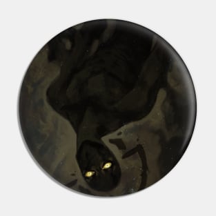 Void Pin