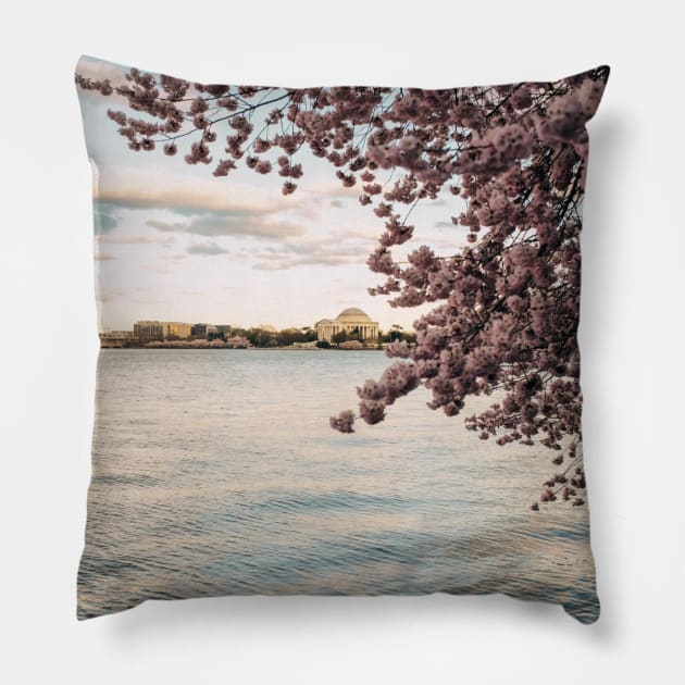 Jefferson Memorial 3 Pillow by igjustin