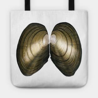 Duck Mussel (Anadonta Anatina) Tote