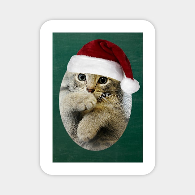 Kitten in da Hat Magnet by Ladymoose