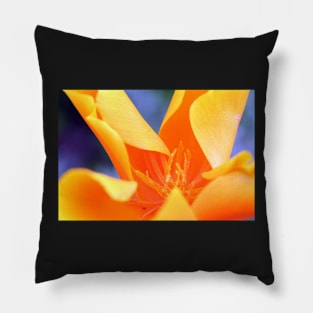 Orange Flower Pillow