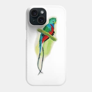 Hand Painted Watercolor Quetzal Phone Case