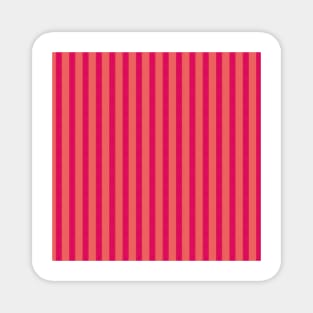 Pink and Peach Stripe Pattern Magnet