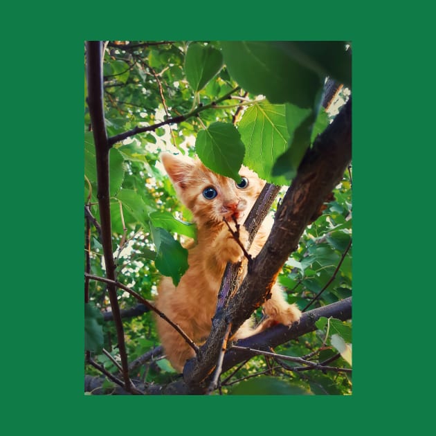 kitten in the tree by psychoshadow