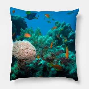 Coral reef Pillow