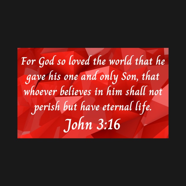 Bible Verse John 3:16 by Prayingwarrior