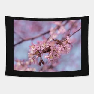 Cherry blossoms Tapestry