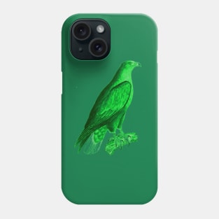 hawk,bald eagle,falcon,golden eagle,birdie,bird,bird of prey,raptor,aquila,vulture,heron,golf game,golf,eaglet,condor,haliaeetus,harpy eagle,beak,eagle putt,bird of jove,accipitridae,score,pigeon,owl,osprey Phone Case