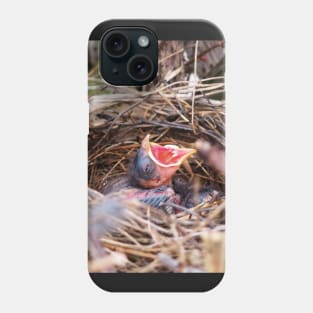 Hungry Baby Northern Cardinal In Its Nest With Its Mouth Wide Opened Phone Case