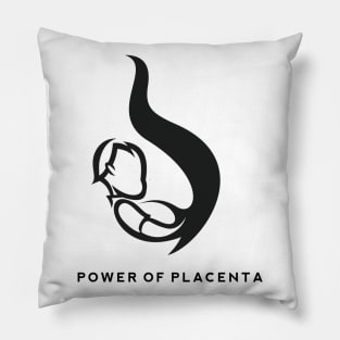 Power of Placenta Pillow