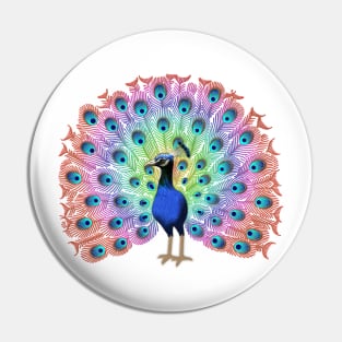 Colorful Peacock Pin