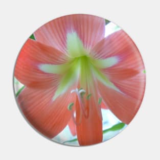 Pink Tiger Lily Pin