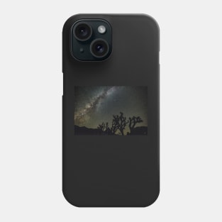 Owens Peak Wilderness Phone Case