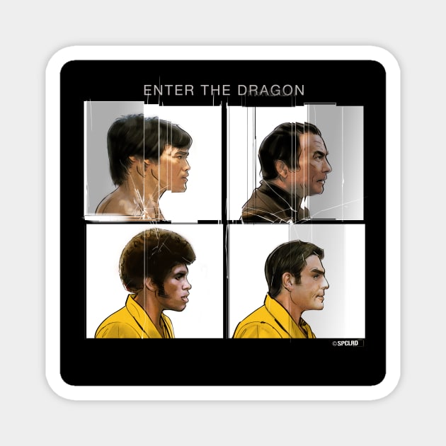 Enter The Dragon Cracked Magnet by spacelord