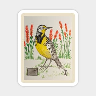 Wyoming state bird and flower, the meadowlark and Indian paintbrush Magnet