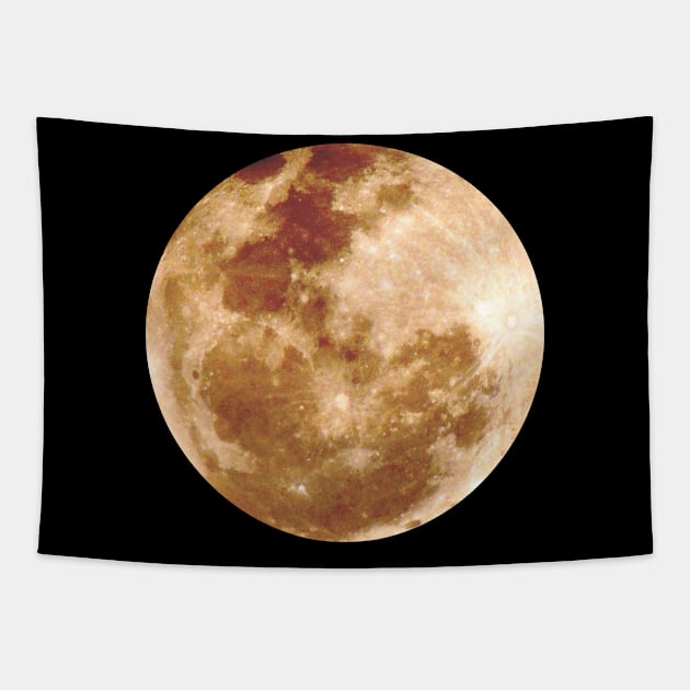 moon logo Tapestry by FromBerlinGift