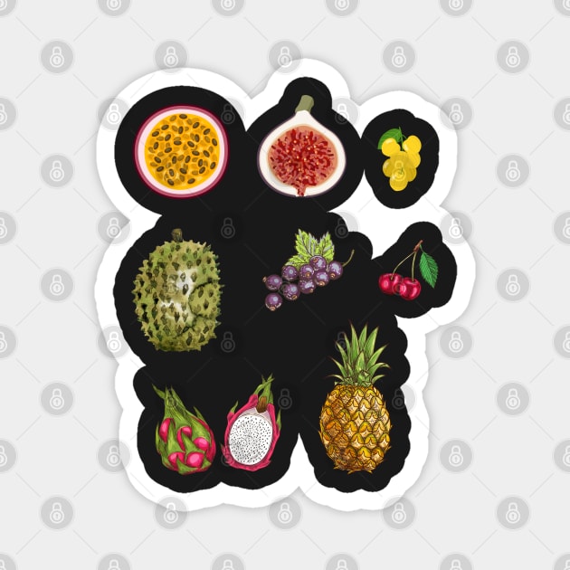 Pack of Fruits | Mix of Fruits Magnet by gronly