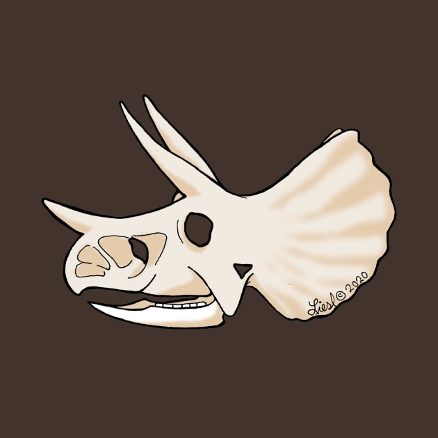 Triceratops Skull by HonuHoney
