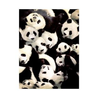 Pandas T-Shirt