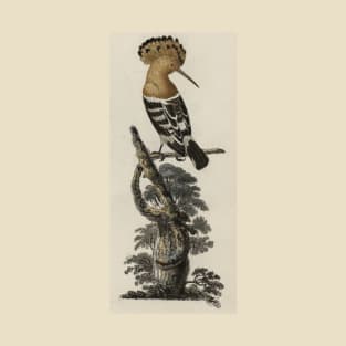 Hoopoe bird T-Shirt