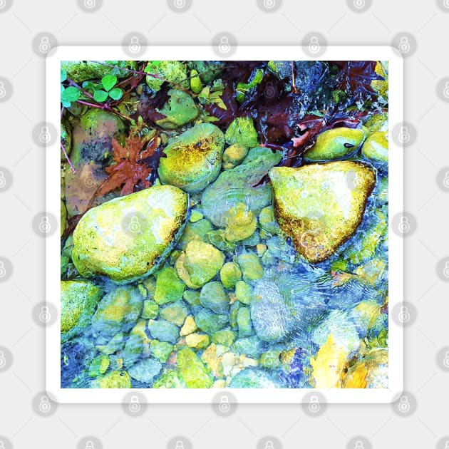 Wet pebbles and leaves, river, water, nature, rain, winter, xmas, fall, leaves, tropical, summer, holidays, art, exotic Magnet by PrintedDreams