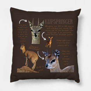 Animal Facts - Klipspringer Pillow