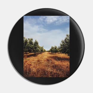 Olive Tree Orchard Pin