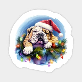 Lazy Bulldog at Christmas Magnet