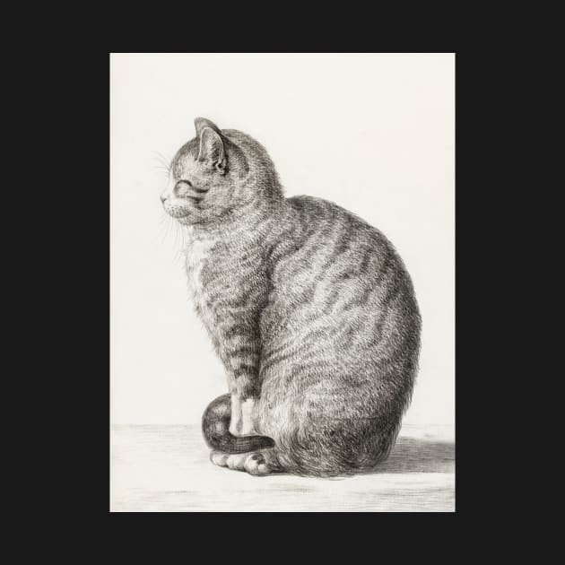 Cat Sitting by Rosettemusicandguitar