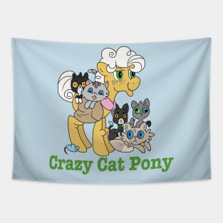 Crazy Cat Pony Tapestry